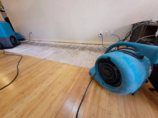 Professional Water Damage Repair technician working in Olney, IL